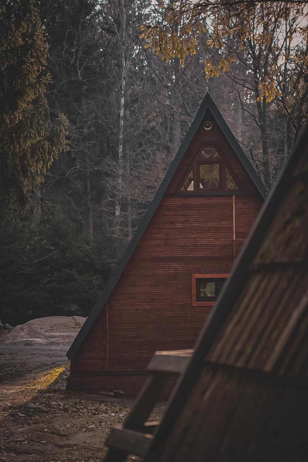 Вилла Lesny Dwor Яновице-Вельке Экстерьер фото